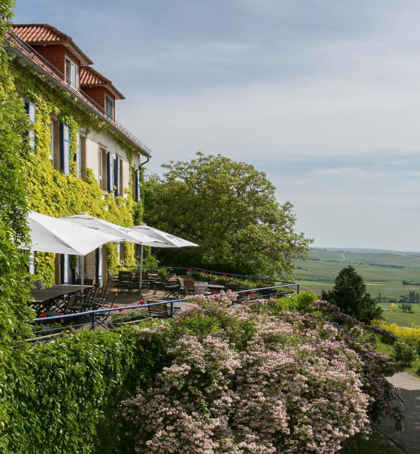 Hofgut Wissberg - Das Weinberghotel Sankt Johann  Exteriér fotografie