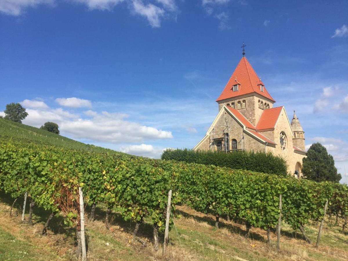 Hofgut Wissberg - Das Weinberghotel Sankt Johann  Exteriér fotografie