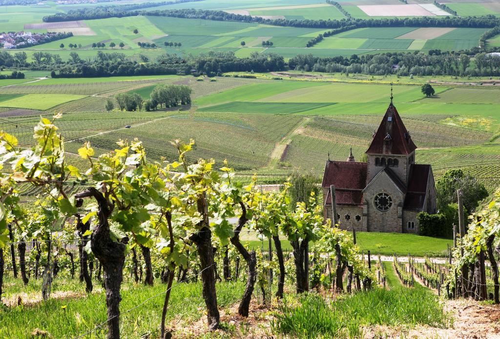 Hofgut Wissberg - Das Weinberghotel Sankt Johann  Exteriér fotografie